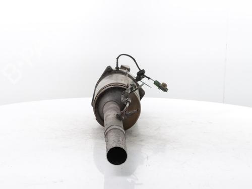Particulate filter RENAULT KANGOO Express (FW0/1_) 1.5 dCi 105 (FW0F) | BP31960134M81 