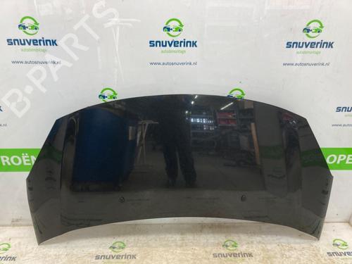 hood-citroen-c3-ii-sc_-16-hdi-7901r1-2009-22963334 main image
