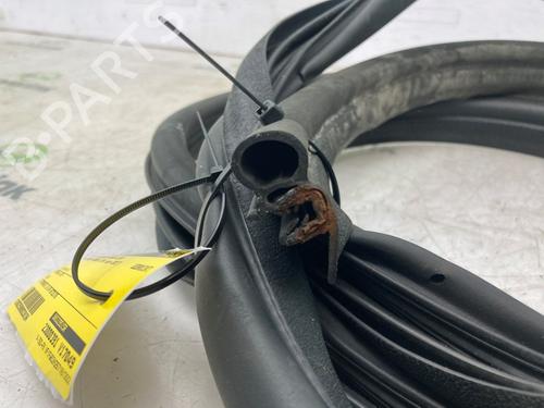 Rubber door seal RENAULT KANGOO Express (FW0/1_) 1.5 dCi 110 (FW06, FW12) | BP24166359C142 