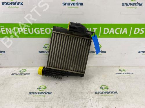 Intercooler PEUGEOT 3008 II SUV (MC_, MR_, MJ_, M4_) 1.2 THP/ PureTech 130 (MRHNSM, MRHNSU, MRHNSJ, MRHNYW,... | BP18550513M30 
