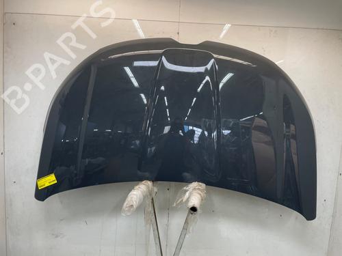 hood-renault-express-box-bodympv-2021-36538995 main image