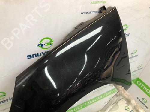 Left front fenders RENAULT SCÉNIC III (JZ0/1_) 1.6 16V (JZ0U, JZ1B) | BP24705274C41 