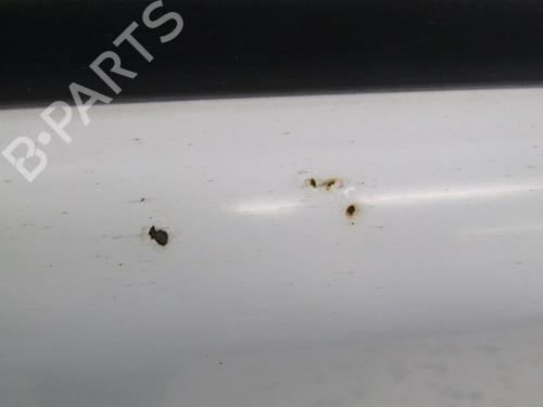 Left front door RENAULT KANGOO Express (FC0/1_) 1.5 dCi (FC1R) | BP10793578C2 
