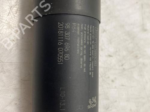 Tailgate lift support PEUGEOT 3008 II SUV (MC_, MR_, MJ_, M4_) 1.2 THP/ PureTech 130 (MRHNSM, MRHNSU, MRHNSJ, MRHNYW,... | BP21193409C138 