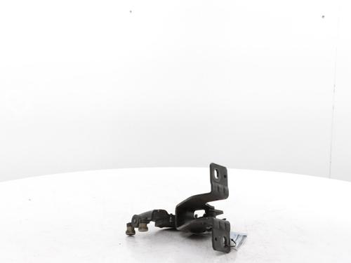 Hinge/Door check strap PEUGEOT EXPERT Van (V_) 2.0 BlueHDi 120 | BP30757473C146 