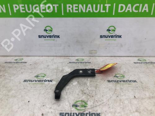 hingedoor-check-strap-citroen-jumpy-iii-van-v_-2016-24647748 main image