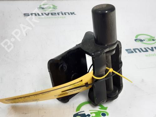 Hinge/Door check strap RENAULT ZOE (BFM_) ZOE | BP23122624C146 