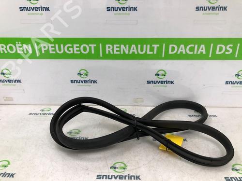 Rubber door seal RENAULT ARKANA I (LCM_, LDN_) 1.3 TCe 160 (LDN1) | BP20214107C142 