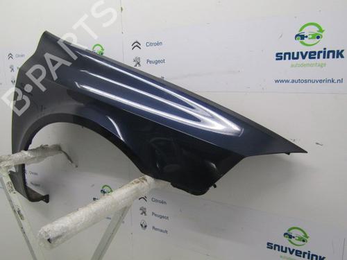 Right front fenders RENAULT LAGUNA II Grandtour (KG0/1_) 1.9 dCi (KG0G) | BP17027153C42 