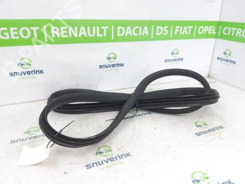 Rubber door seal RENAULT ARKANA I (LCM_, LDN_) 1.6 E-TECH 145 (LDMU) | BP24943931C142 
