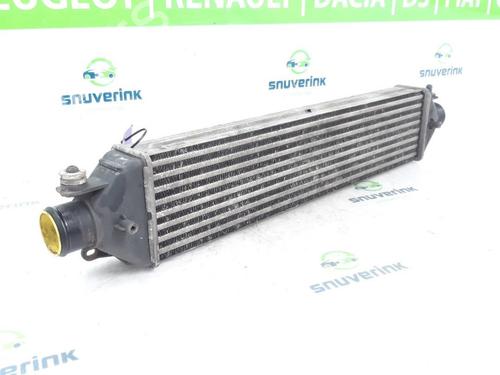 Intercooler FIAT DOBLO Cargo (263_) 1.3 D Multijet | BP23123030M30 