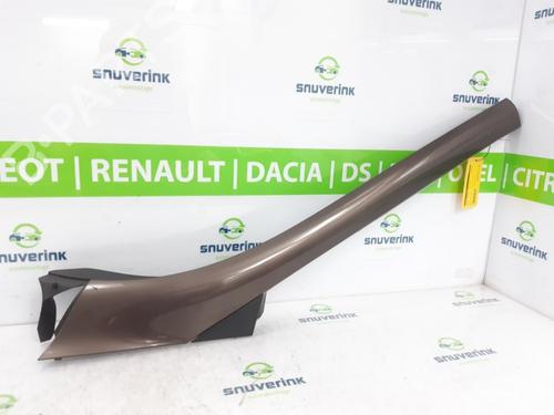 Andre RENAULT SCÉNIC III (JZ0/1_) 2.0 16V (JZ0G, JZ0P, JZ1E, JZ1P) (140 hp) 13902374