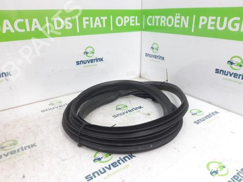 Rubber door seal RENAULT MEGANE III Grandtour (KZ0/1) 1.5 dCi (KZ09, KZ0D, KZ1G, KZ29, KZ14, KZ1W, KZ10, KZ1F,... | BP22218751C142