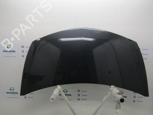 Used Hood RENAULT CLIO III (BR0/1, CR0/1) 1.4 16V (98 hp) 10793675