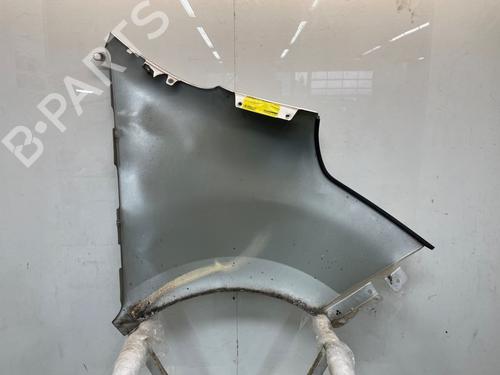 Left front fenders RENAULT MASTER III Van (FV) 2.3 dCi 165 FWD (FV0P, FV0U, FV11, FV12, FV1E) | BP31592240C41