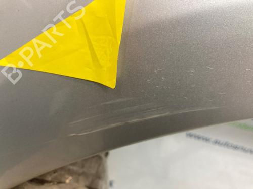Left front fenders RENAULT SCÉNIC III (JZ0/1_) 1.5 dCi | BP21544533C41 