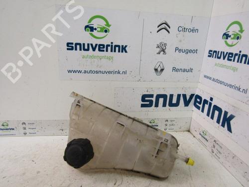 Used Expansion tank RENAULT KANGOO / GRAND KANGOO II (KW0/1_) 1.5 dCi 105 (KW0F) (103 hp) 10786049