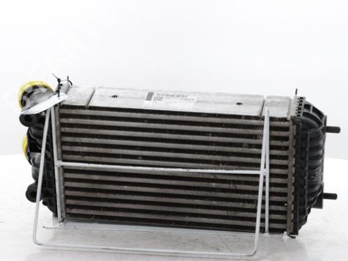 Intercooler PEUGEOT 2008 II (UD_, US_, UY_, UJ_, UR_, UC_) 1.2 PureTech 130 (USHNS, URHNS) | BP31960834M30 