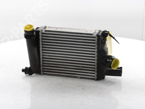 Used Intercooler DACIA DUSTER (HM_) 1.3 TCe 130 (HMMF) (131 hp) 29426282