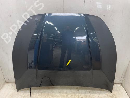 Used Hood Hood 39618819 39618819