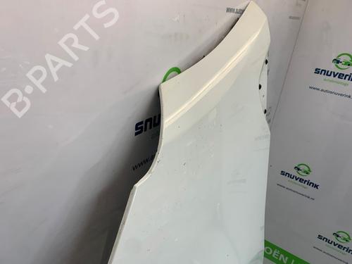 Left front fenders RENAULT TRAFIC III Van (FG_) 2.0 dCi 170 (FGMM, FGMV) | BP26238348C41 