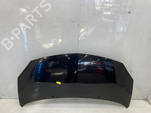 hood-renault-twingo-ii-cn0_-2007-28288626 main image