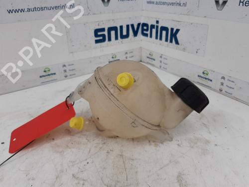 Used Expansion tank CITROËN C4 II (NC_) 1.6 HDi 110 (112 hp) 10796498