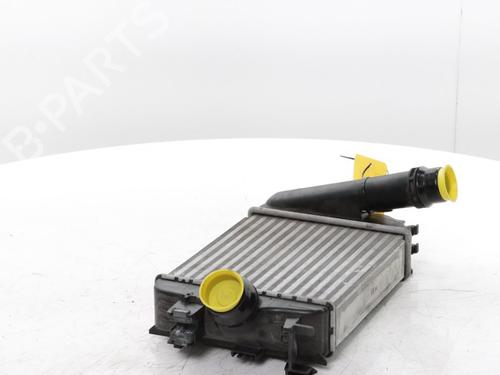Intercooler RENAULT CLIO V (B7_) 1.0 TCe 100 (B7MT) | BP29899578M30 