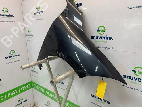 Left front fenders RENAULT MEGANE III Grandtour (KZ0/1) 1.5 dCi (KZ09, KZ0D, KZ1G, KZ29, KZ14, KZ1W, KZ10, KZ1F,... | BP26665660C41 