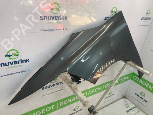 Left front fenders CITROËN C4 Grand Picasso II (DA_, DE_) 1.6 HDi / BlueHDi 115 | BP24300227C41