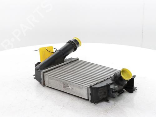 Intercooler RENAULT CLIO V (B7_) 1.0 TCe 100 (B7MT) | BP29899578M30 