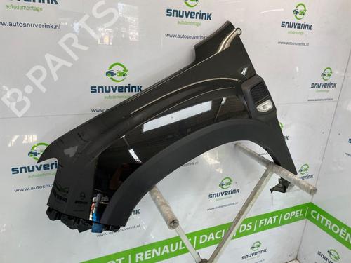 Left front fenders DACIA DUSTER (HM_) 1.0 LPG (HMMT) | BP30185630C41 