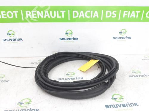 Gummiliste RENAULT SYMBIOZ 1.6 E-Tech 145 | BP24944050C142 - Image 2