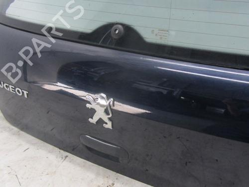 Bakluke CC/Kombi-Kupé PEUGEOT 307 (3A/C) 1.6 16V | BP12831646C6 