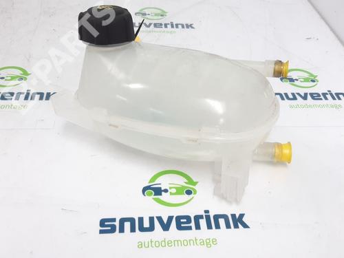 Used Expansion tank Expansion tank RENAULT ARKANA I (LCM_, LDN_) 1.6 E-TECH 145 (LDMU) (143 hp) 10807501 10807501