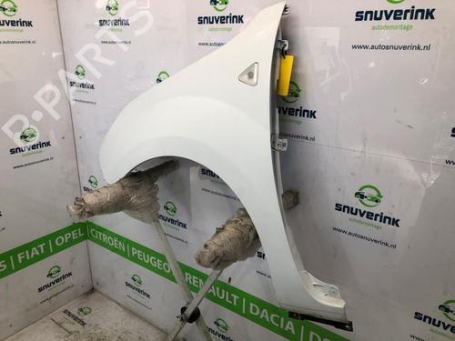 Left front fenders RENAULT KANGOO Express (FW0/1_) 1.5 dCi 90 (FW0G, FW05, FW08, FW11) | BP19687142C41 