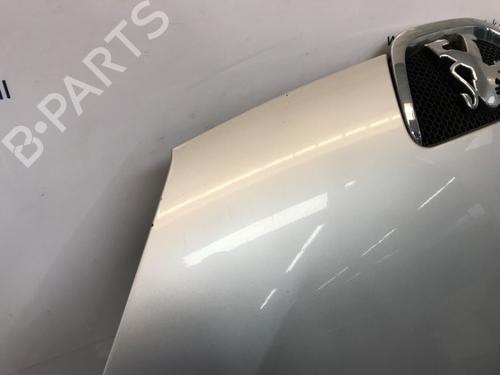 Hood PEUGEOT 107 (PM_, PN_) 1.4 HDi | BP23394155C1 