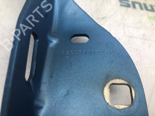 Hinge/Door check strap RENAULT TWINGO II (CN0_) 1.2 16V (CN04, CN0B) | BP30185413C146