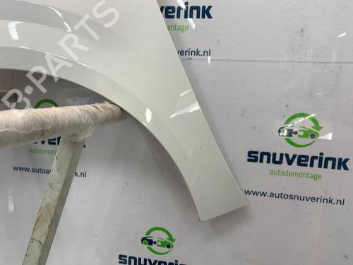 Left front fenders PEUGEOT 208 II (UB_, UP_, UW_, UJ_) 1.2 PureTech 75 | BP25884927C41 