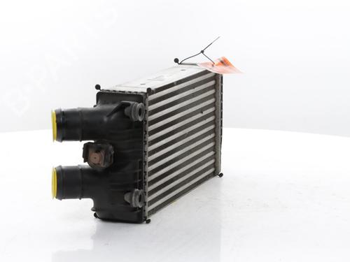 Intercooler DS DS 3 / DS 3 CROSSBACK (UR_, UC_, UJ_) 1.2 PureTech 130 (URHNSS) | BP40265979M30 - Image 9