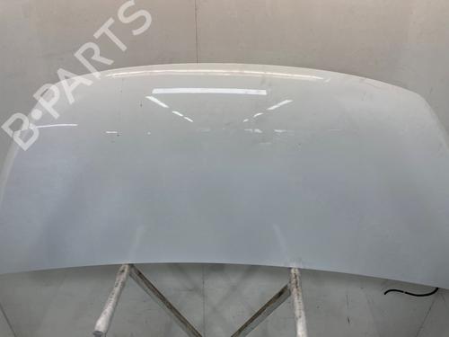 Hood FIAT TALENTO Van (296_) 2.0 EcoJet | BP29899544C1