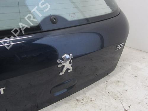 Bakluke CC/Kombi-Kupé PEUGEOT 307 (3A/C) 1.6 16V | BP12831646C6 