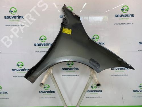Right front fenders RENAULT MEGANE III Grandtour (KZ0/1) 1.5 dCi (KZ09, KZ0D, KZ1G, KZ29, KZ14, KZ1W, KZ10, KZ1F,... | BP26665661C42 