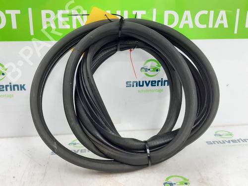 Used Rubber door seal RENAULT CLIO III (BR0/1, CR0/1) 1.2 16V (BR02, BR0J, BR11, CR02, CR0J, CR11) (75 hp) 13194195