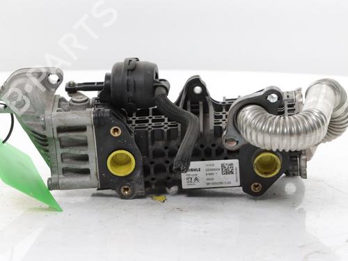 Used Egr Egr 39618860 39618860