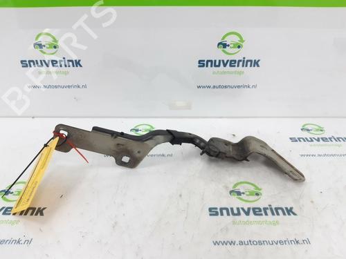 Used Hinge/Door check strap RENAULT CLIO III (BR0/1, CR0/1) 1.4 16V (98 hp) 13192961