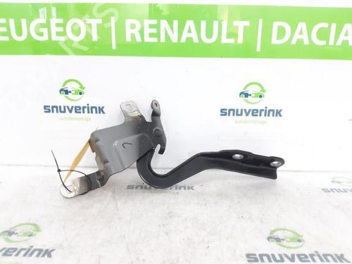 Used Hinge/Door check strap Hinge/Door check strap RENAULT CLIO IV (BH_) 1.5 dCi 90 (90 hp) 16099435 16099435