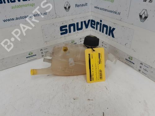 Ekspansjonstank RENAULT GRAND SCÉNIC III (JZ0/1_) 1.5 dCi (JZ09, JZ0D, JZ10, JZ14, JZ1G, JZ29, JZ2C) 217100005R