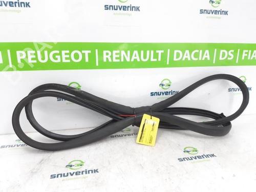 Used Other Other RENAULT MEGANE III Coupe (DZ0/1_) 1.4 TCe (DZ0F, DZ1V) (131 hp) 40577054 40577054