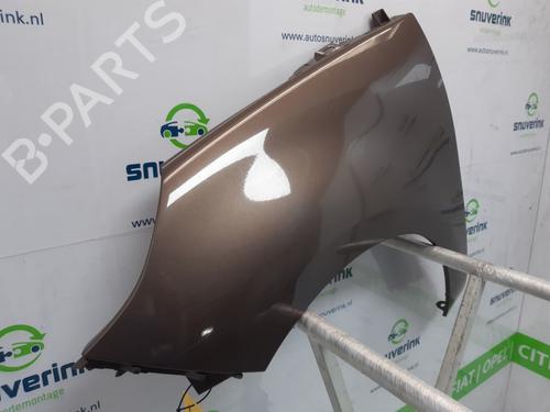 Left front fenders RENAULT SCÉNIC III (JZ0/1_) 2.0 16V (JZ0G, JZ0P, JZ1E, JZ1P) | BP13757563C41 